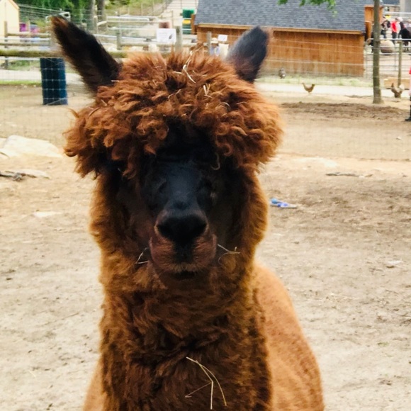 Oh hi! It’s me, Christine. - Picture 6 of 7